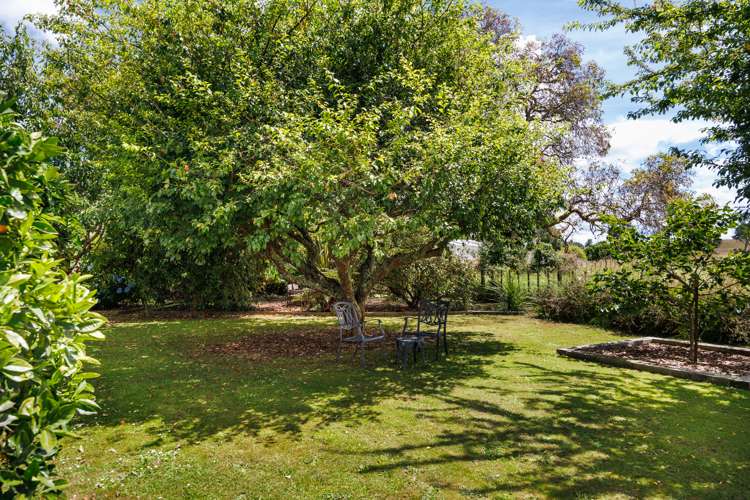 6 Griffins Road Marton_5