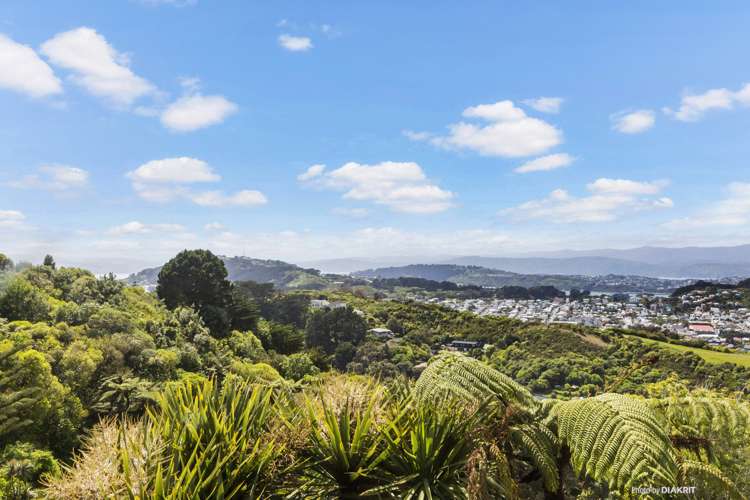 32 Havelock Street Mornington_5