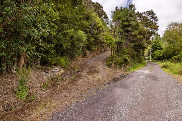 Waimangaro Road Opua_4