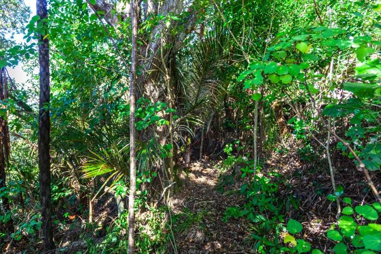 237 Opoutere Road Opoutere_10