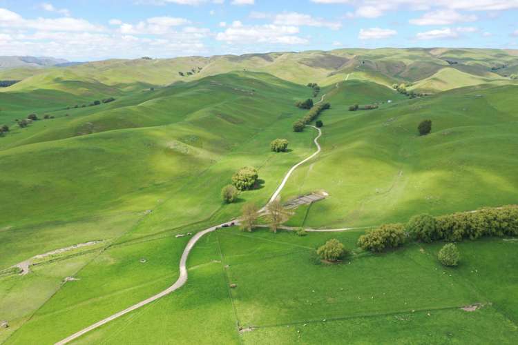989 Raukawa Road Raukawa_7