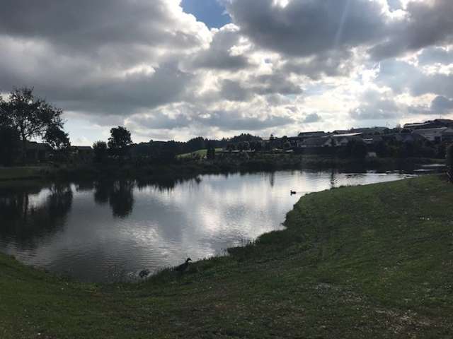 19 Anselmi Ridge Road Pukekohe_1