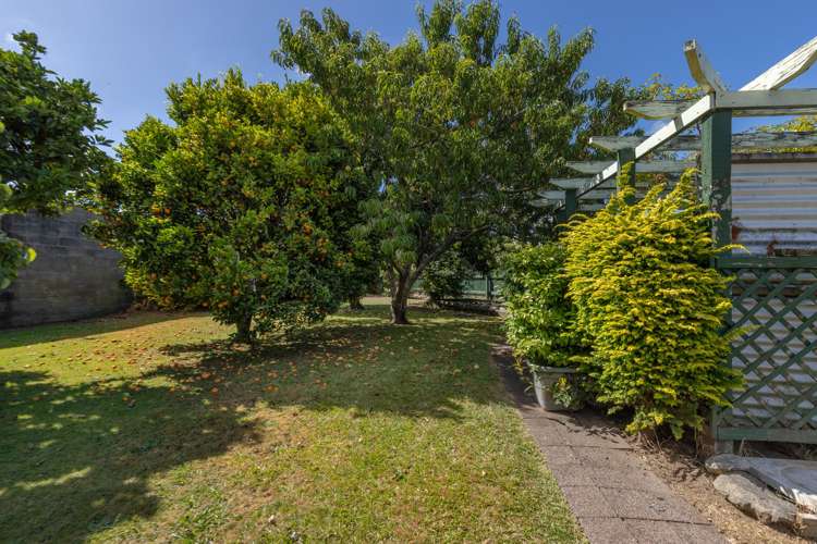 4 Glen Street Levin_20