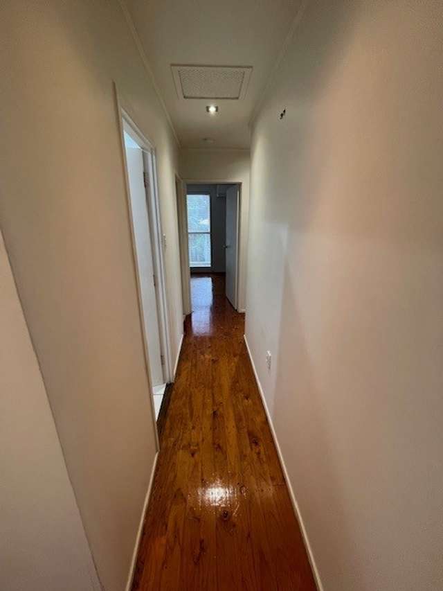 4 Battle Place Glenfield_3