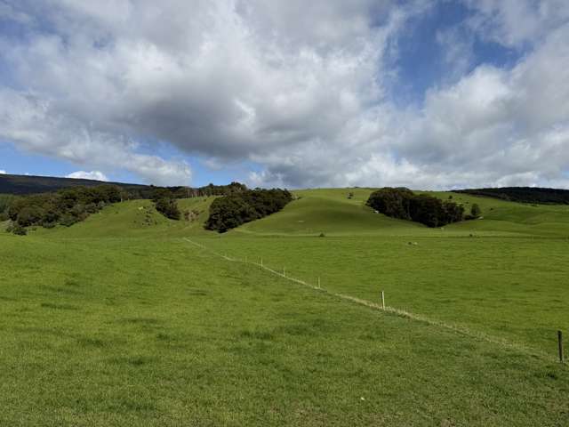 85 Allan Road Otautau_3