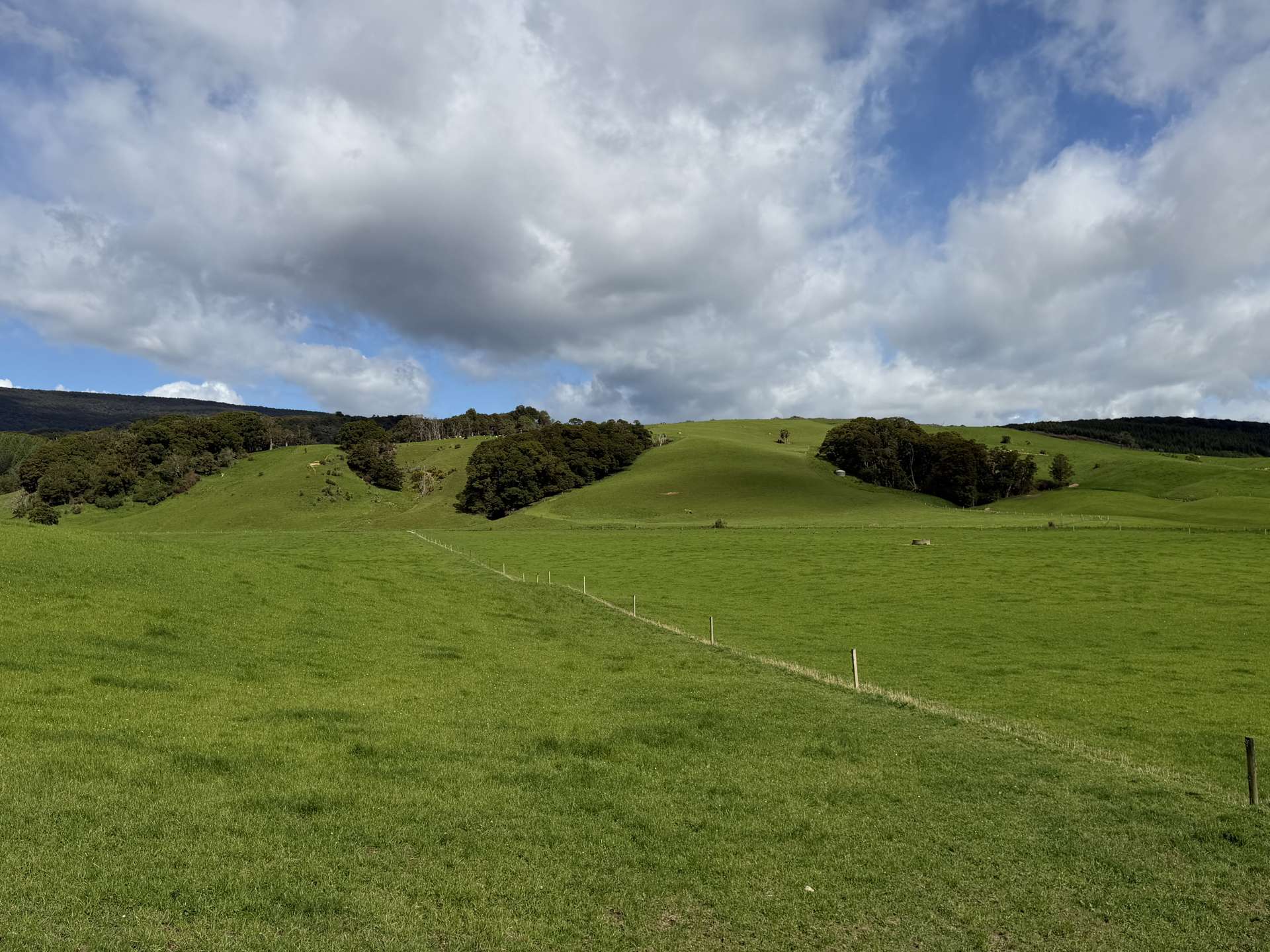 85 Allan Road Otautau_0