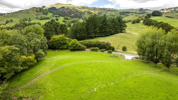 2420, 2430 and 2438 Kahuranaki Road Elsthorpe_1