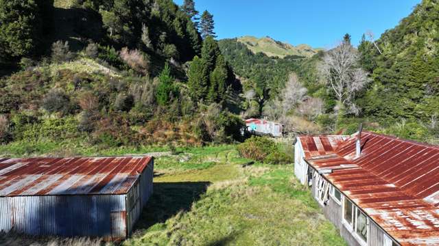 7957 State Highway 2 Opotiki Surrounds_3