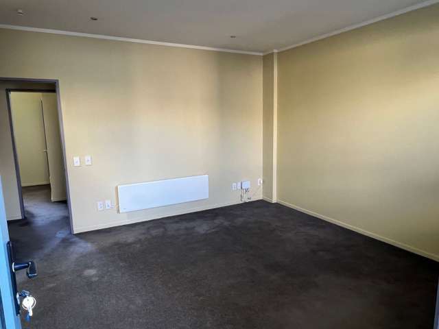 GoTo Newtown / Mt Cook modern 2 Bedroom Apartment