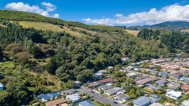 101 Cambria Street The Wood_2