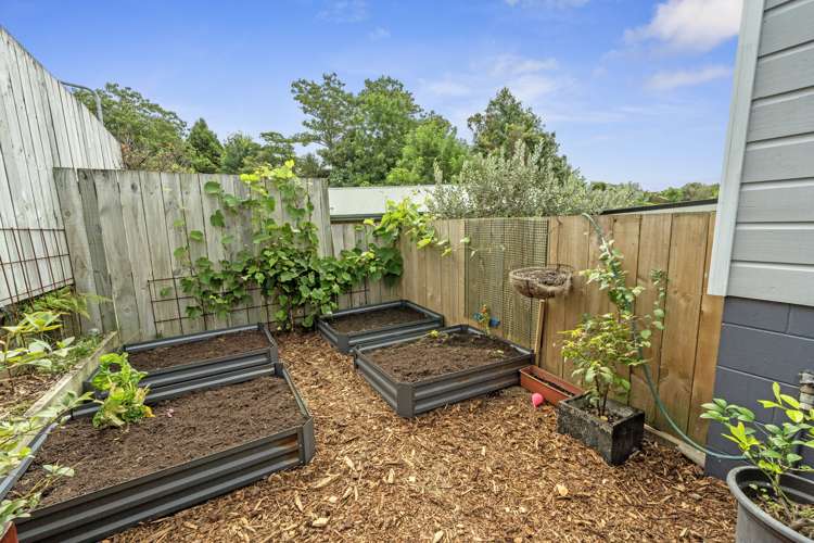 9 Hayward Court Te Puke_20