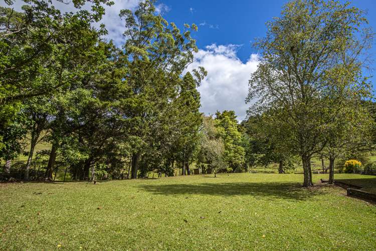 72 Bedlington Street Whau Valley_16