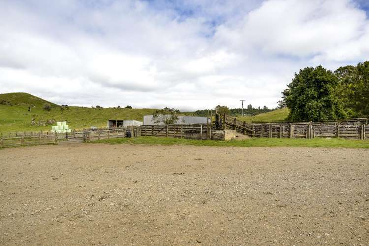 4332 Puketitiri Road Hastings Country_19