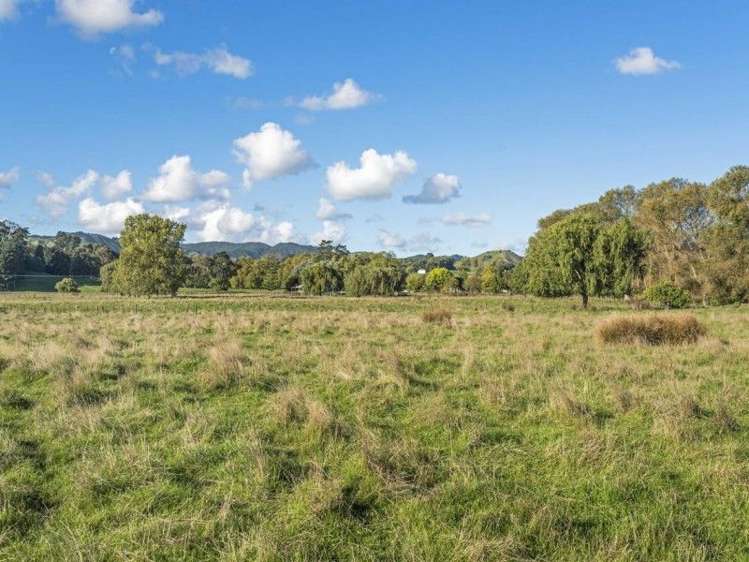 582 Back Ormond Road Makauri_11