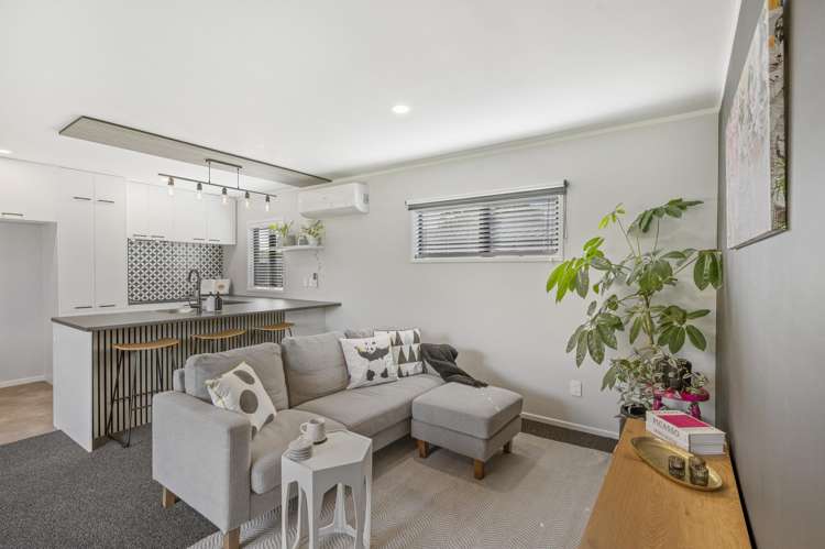 18A Williams Street Marewa_11