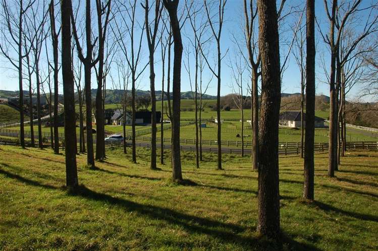 102e Maungakawa Road Cambridge_3