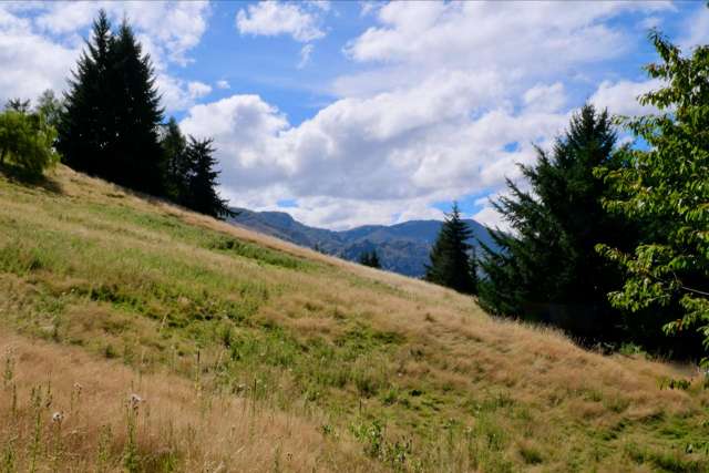 196 Dalefield Road Dalefield_2