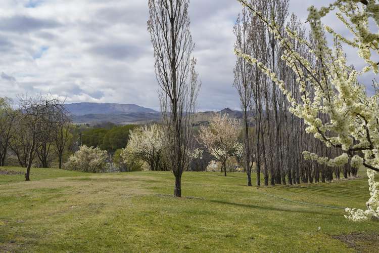 18 Ferris Road Alexandra_14