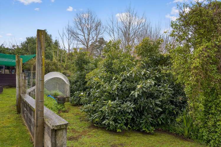 197 Stout Street Mangapapa_18