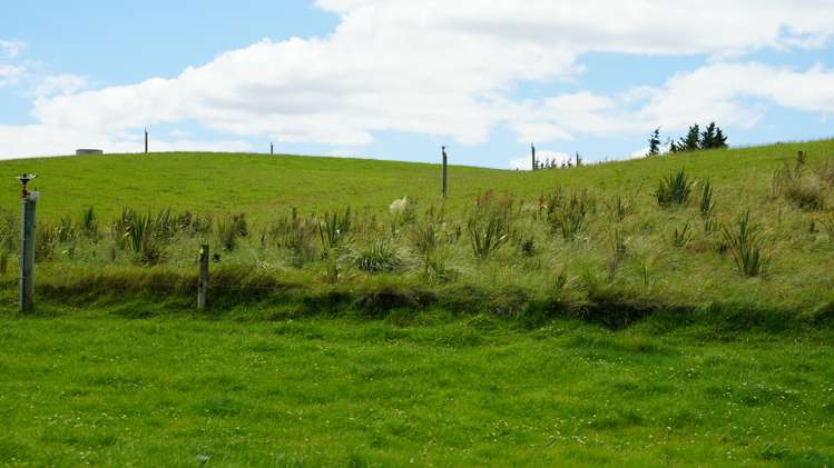 78 Cemetery Road Culverden_13