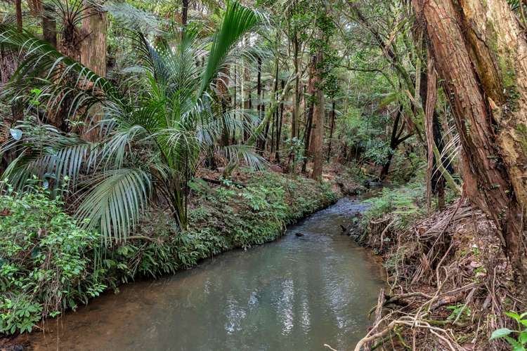 Lot 2, 106 Totara Park Lane Glenbervie_13