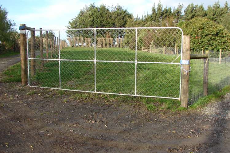 388 Mill Road North Myross Bush_14