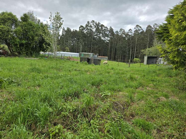 49 Needles Street Kaitangata_9