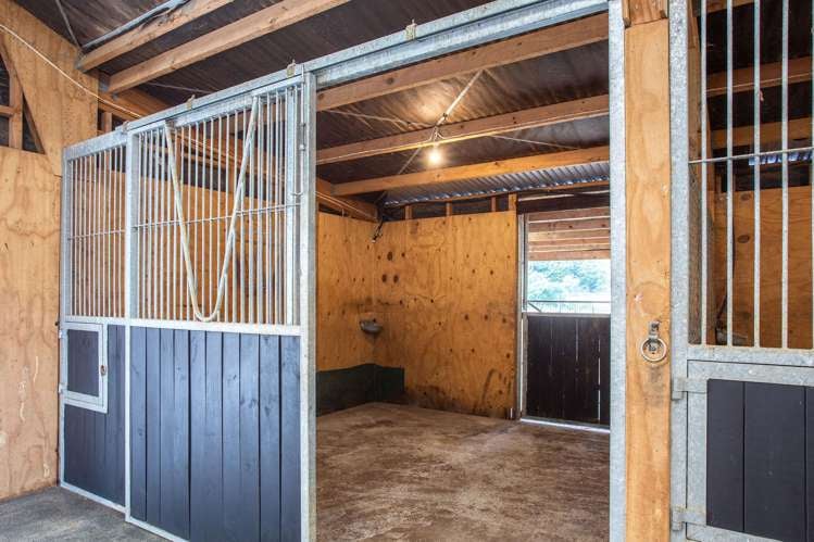 235B Tramway Road Pukekohe_10