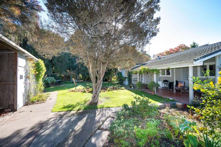 541 Napier Road_5