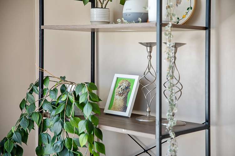 4 Cresswell Lane Riversdale_12