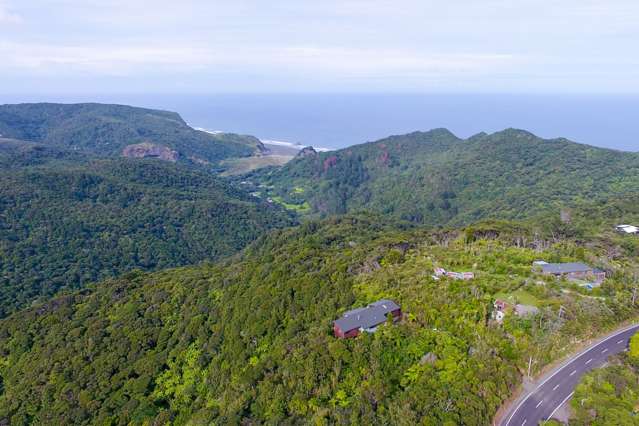 209 Piha Road Piha_3