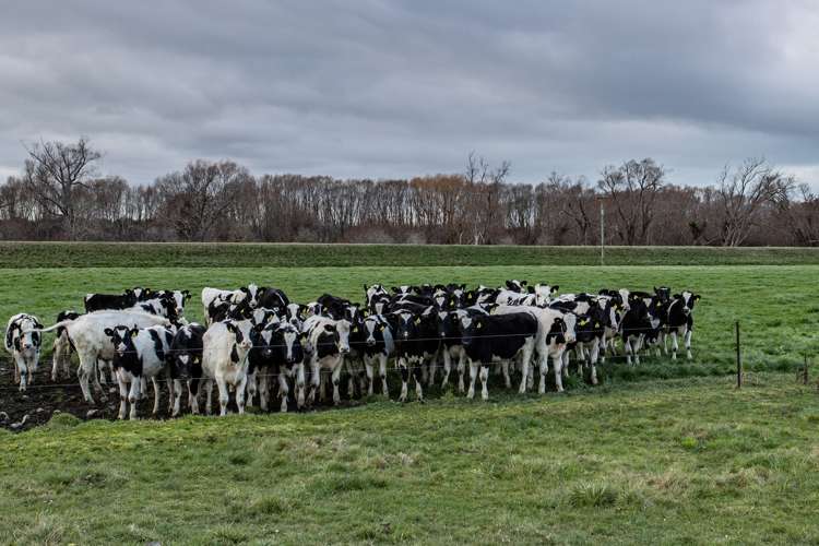 94 Tulls Road Waikuku_2