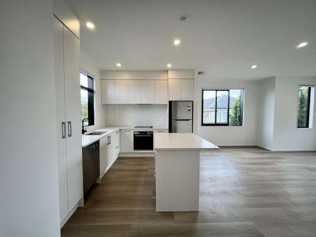 1/22 James Laurie Street 11401_2