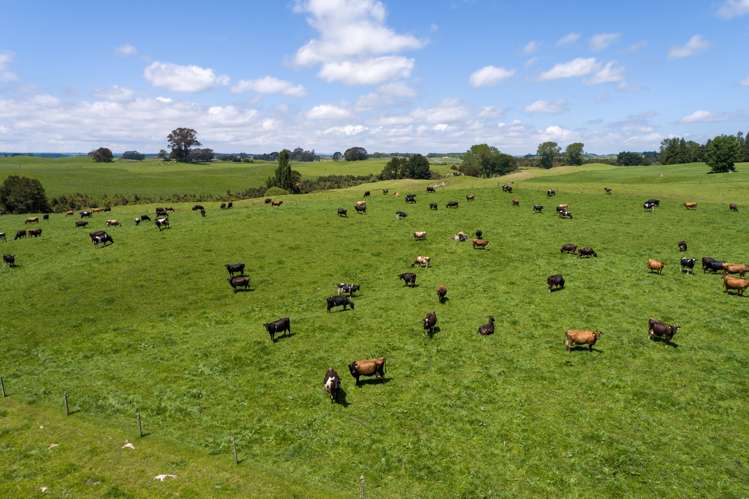 3069 Old Taupo Road Tokoroa_16