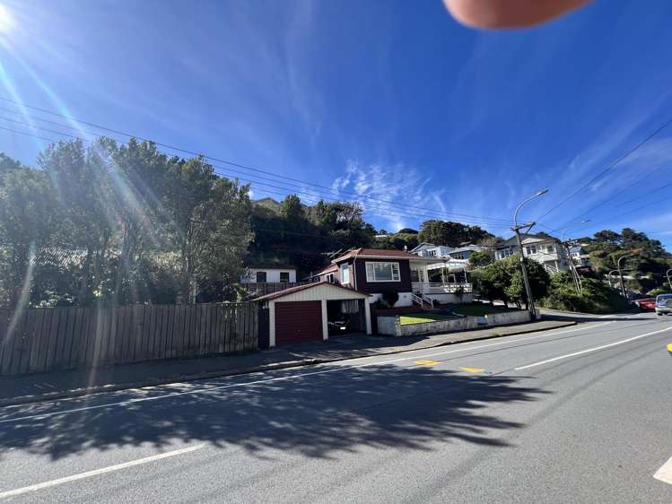 293 Ohiro Road Brooklyn_19