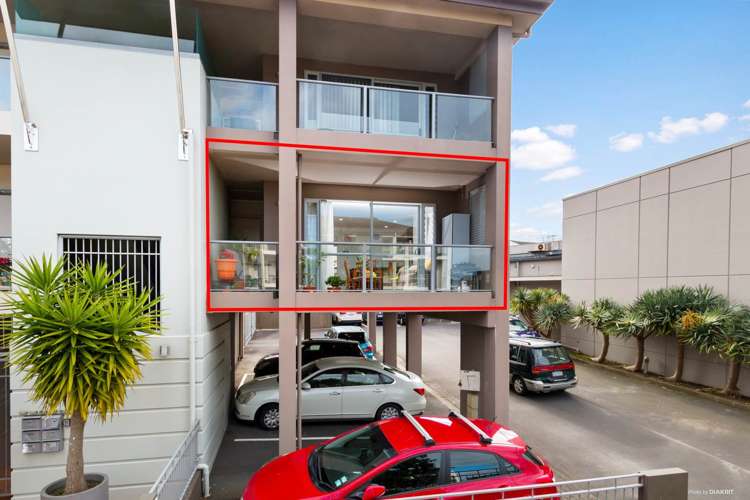 100b Michael Jones Drive Flat Bush_0