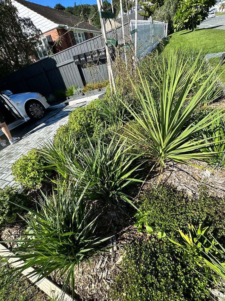 2/65 Strathmore Avenue Strathmore Park_16