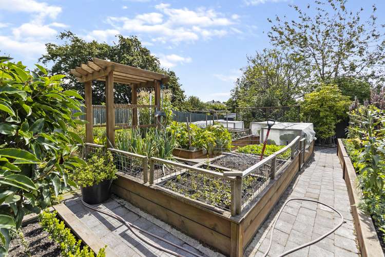 329 Church Street West End_16