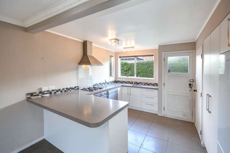 84b Hargest Crescent Saint Clair_2