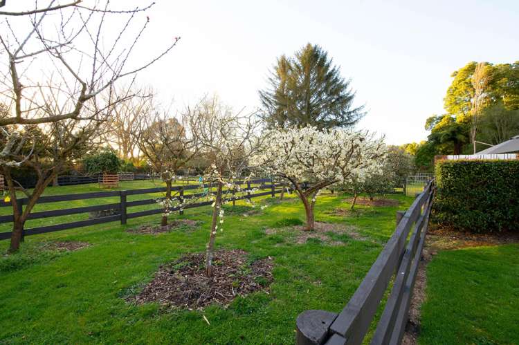 191B Tauwhare Road Tamahere_22