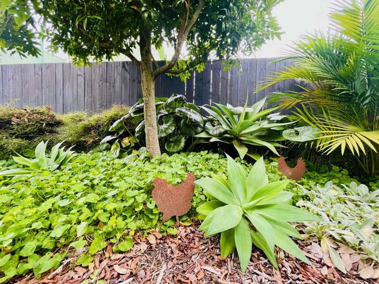 65b Dunlop Road Te Puke_23