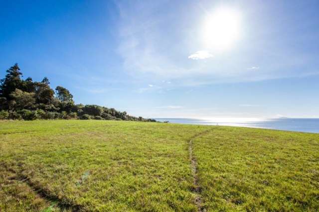 Ohiwa Beach Road Opotiki_4