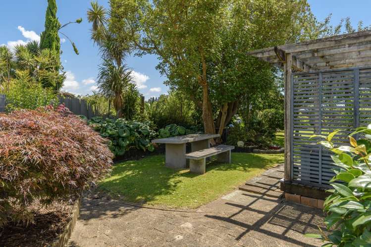 13 Gray Street Katikati_6