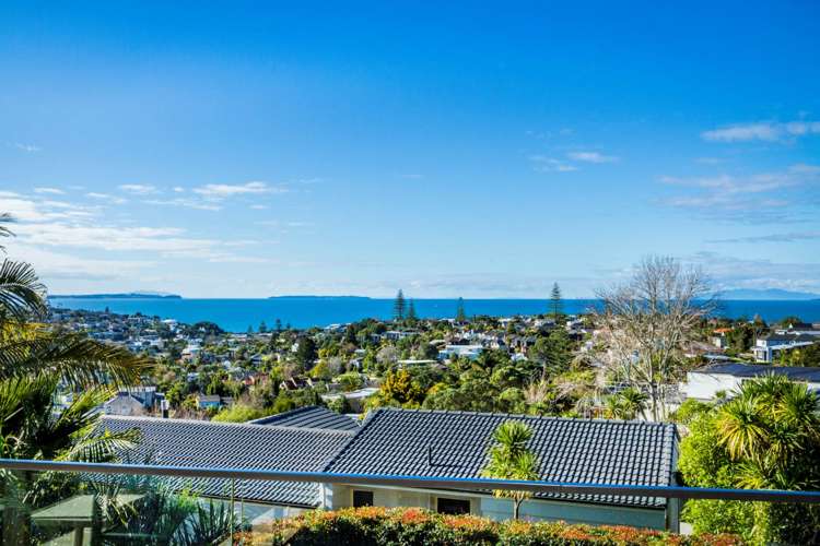 163b Kowhai Road Mairangi Bay_72