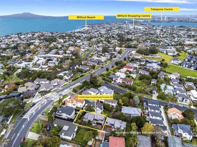 1/210a East Coast Road Forrest Hill_16