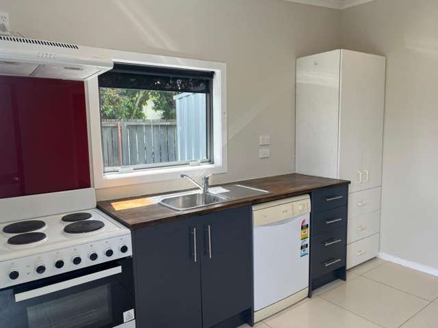 392A Ulster Street 3283_2