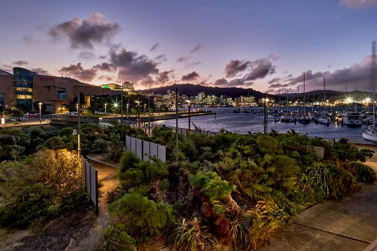 101/22 Herd Street Te Aro_21