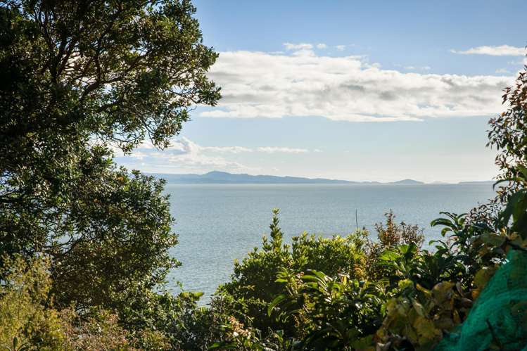 642 Thames Coast Road Waiomu_6