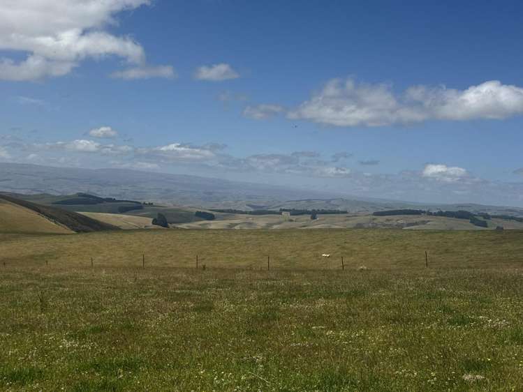 980 Moa Flat Road Moa Flat_8