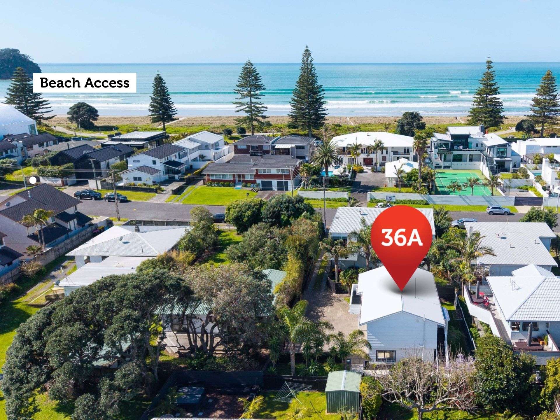 36a Muricata Avenue Mount Maunganui_0